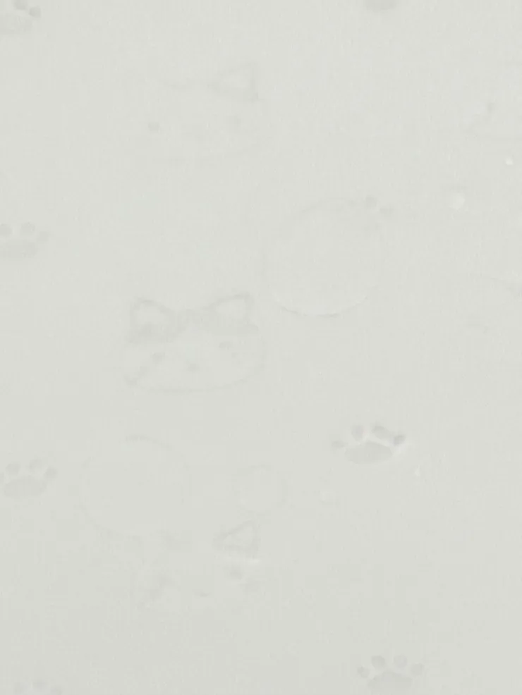 Mascarilla higiénica Gatos, foto 4